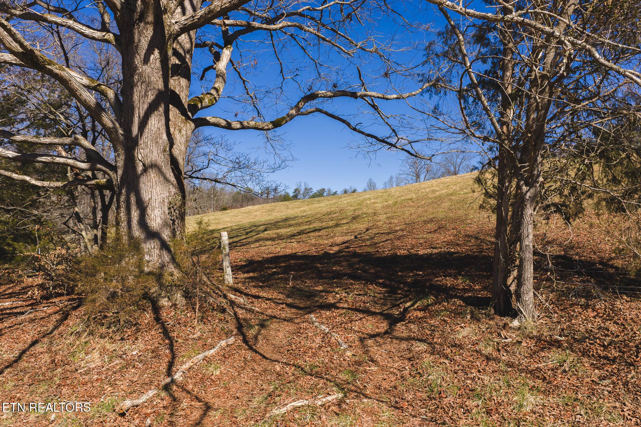 50 Acres Sutton Hollow Road Sneedville TN 37869