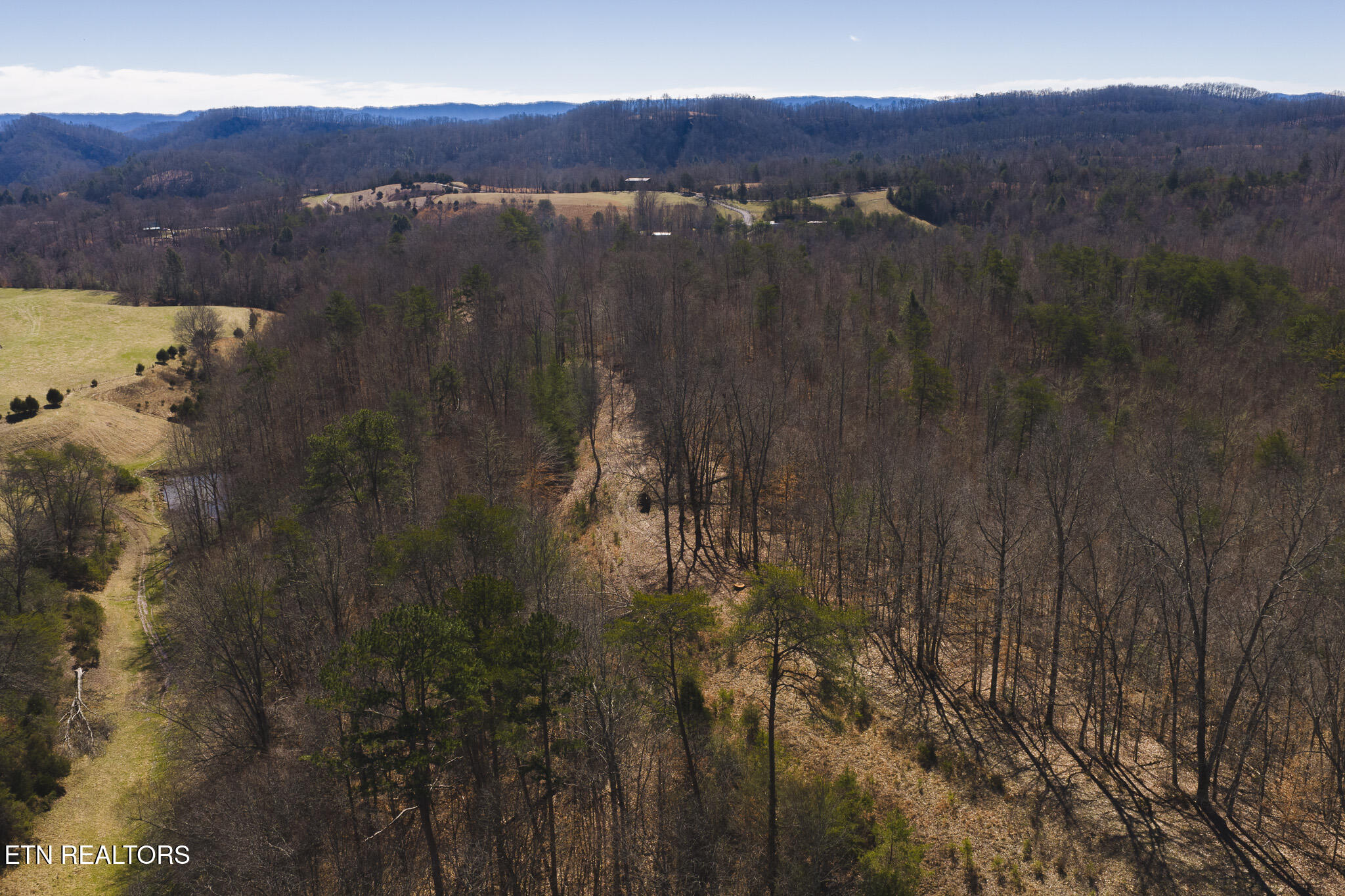 50 Acres Sutton Hollow Road Sneedville TN 37869