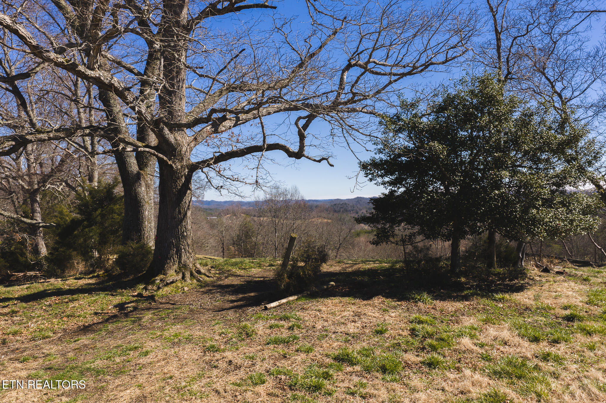 50 Acres Sutton Hollow Road Sneedville TN 37869