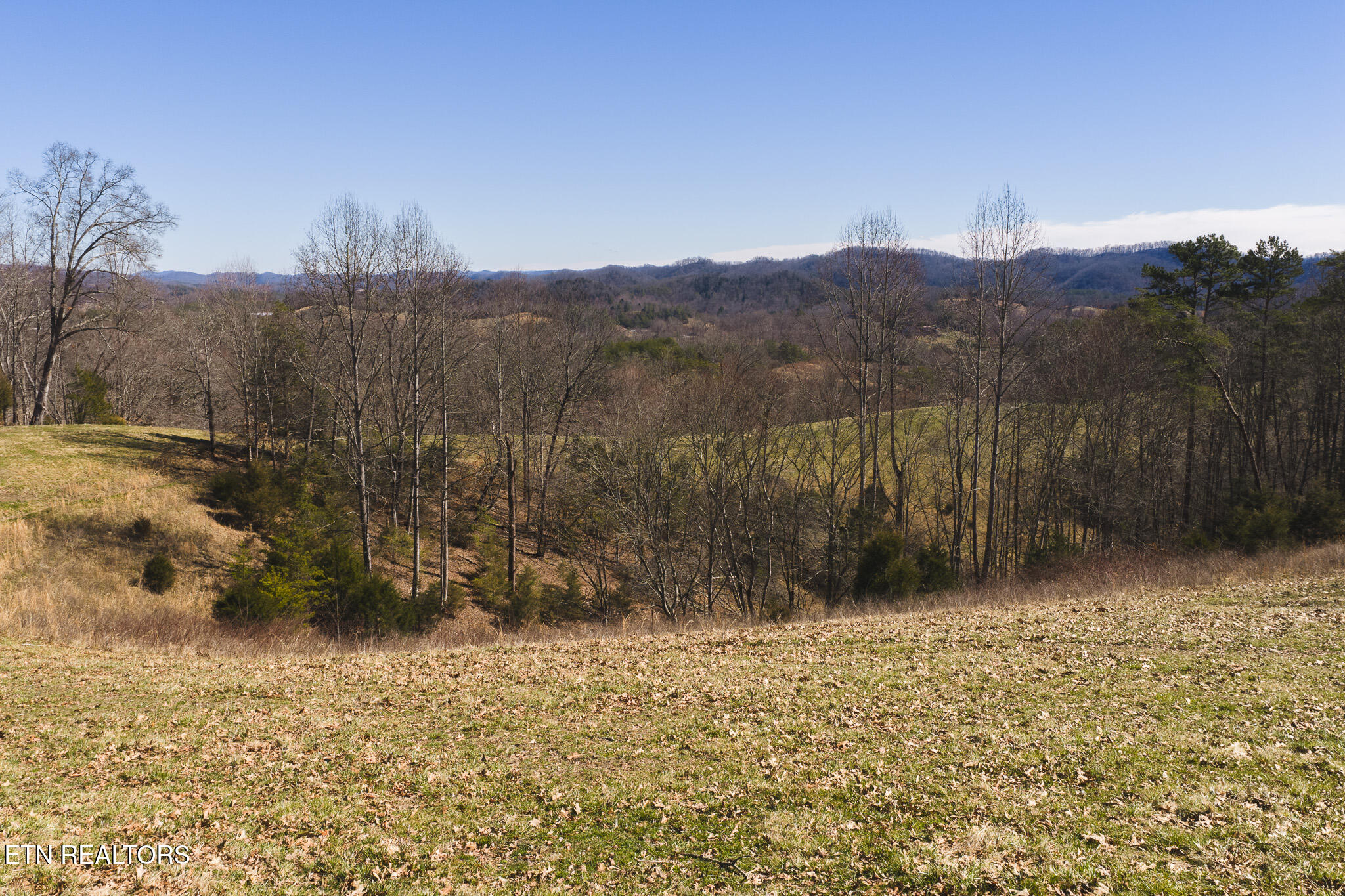 50 Acres Sutton Hollow Road Sneedville TN 37869