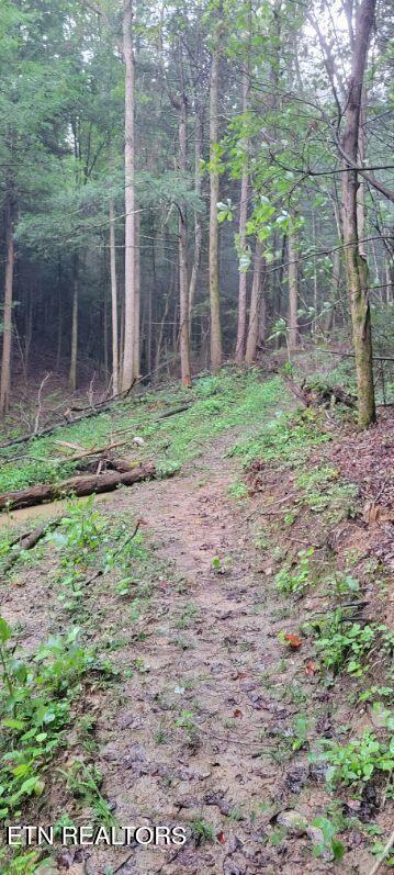 150 Ac Prong Of Clear Jamestown TN 38556