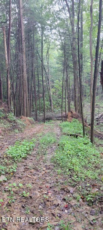 150 Ac Prong Of Clear Jamestown TN 38556