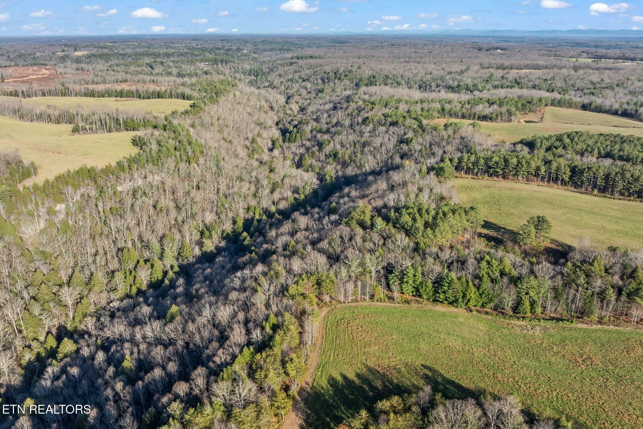 150 Ac Prong Of Clear Jamestown TN 38556