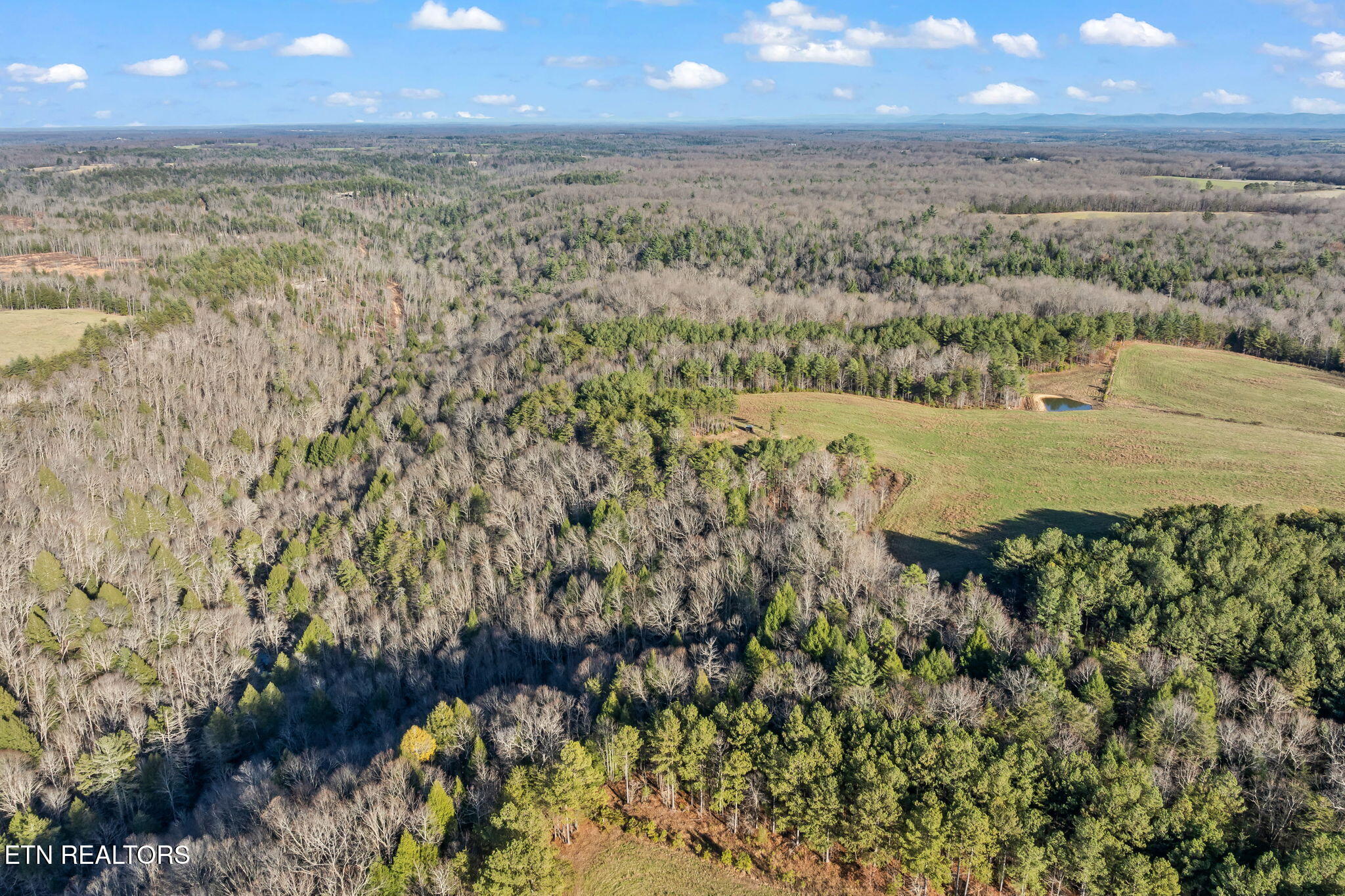 150 Ac Prong Of Clear Jamestown TN 38556