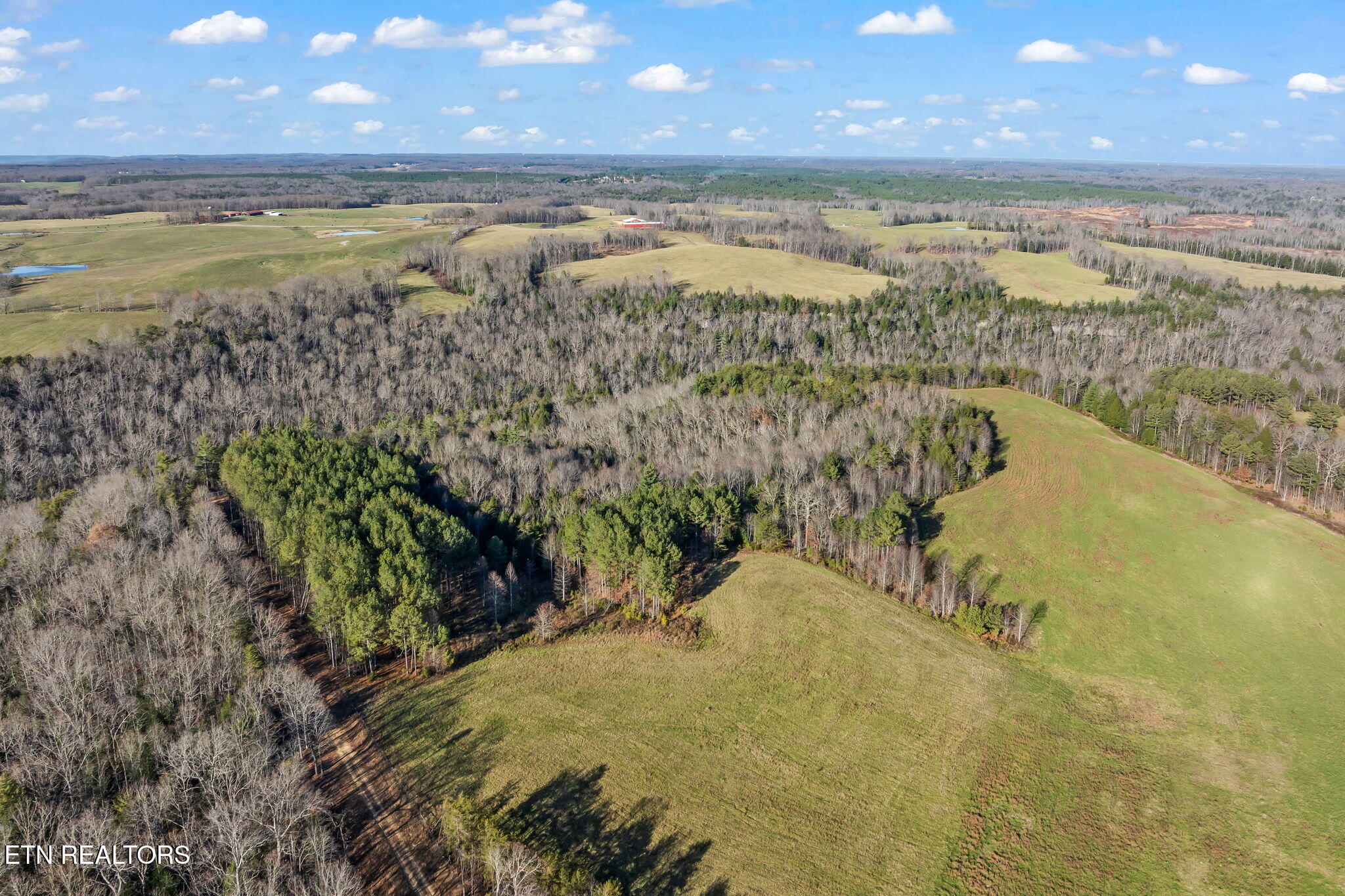 150 Ac Prong Of Clear Jamestown TN 38556