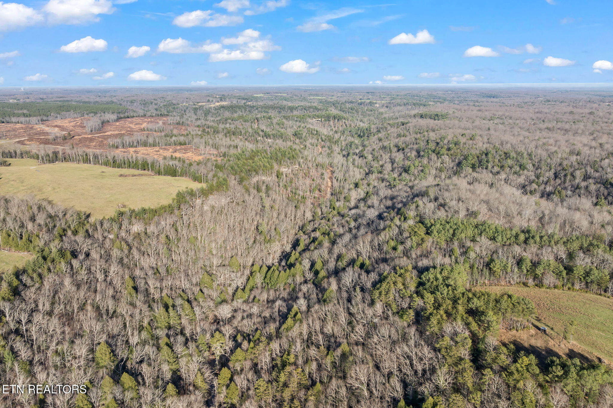 150 Ac Prong Of Clear Jamestown TN 38556