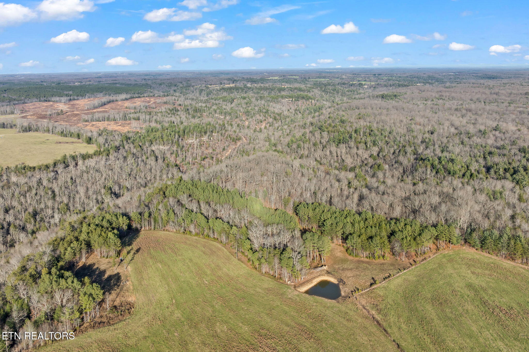 150 Ac Prong Of Clear Jamestown TN 38556