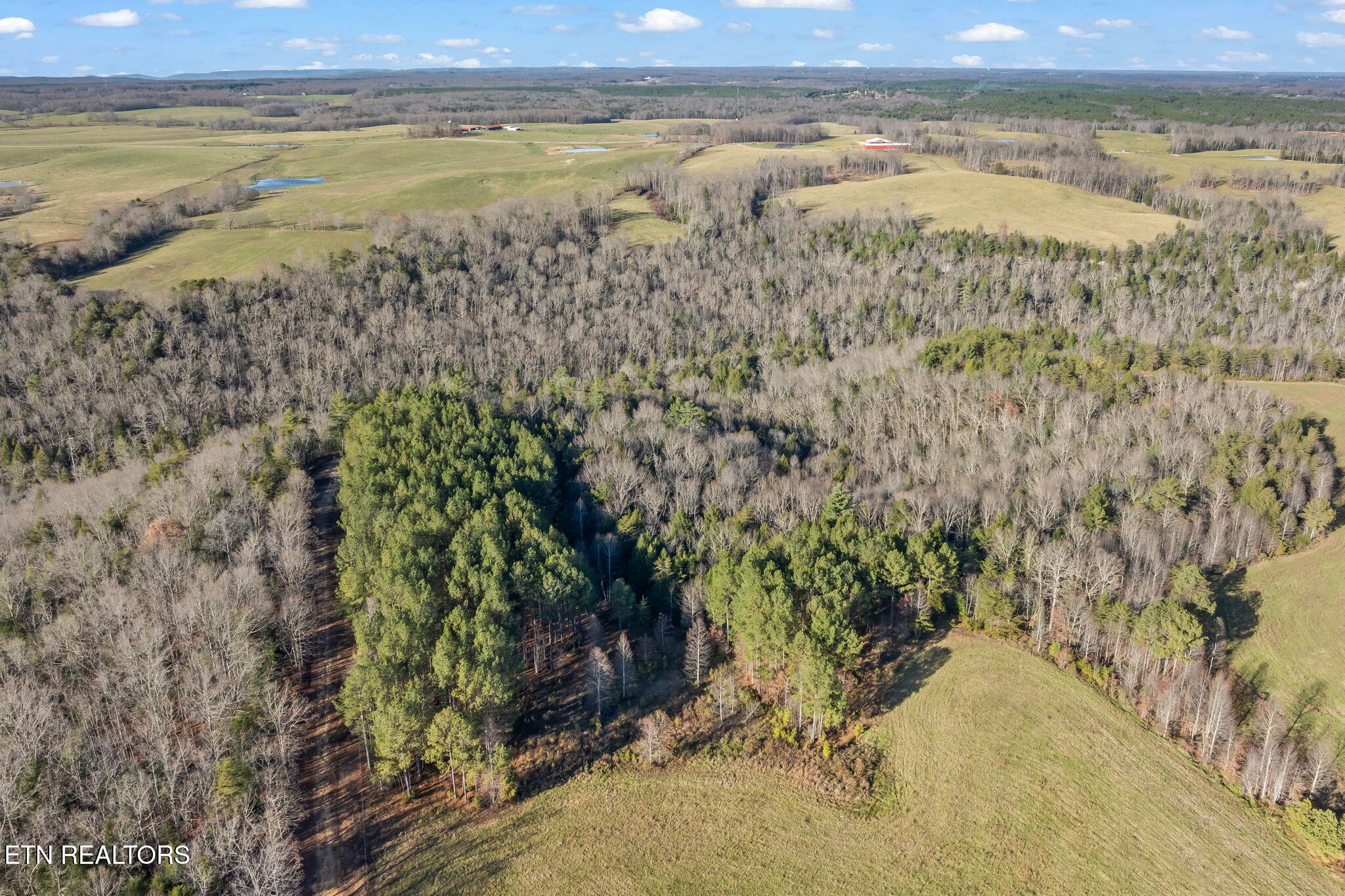 150 Ac Prong Of Clear Jamestown TN 38556