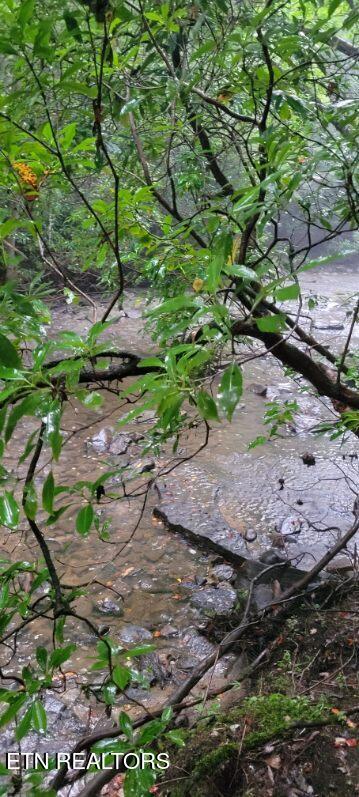 150 Ac Prong Of Clear Jamestown TN 38556