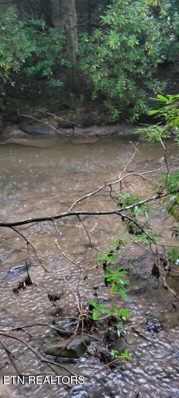 150 Ac Prong Of Clear Jamestown TN 38556