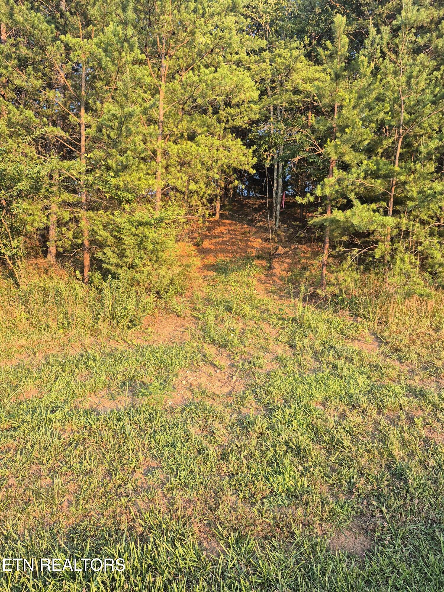 165 Glen Mar Drive Lenoir City TN 37772