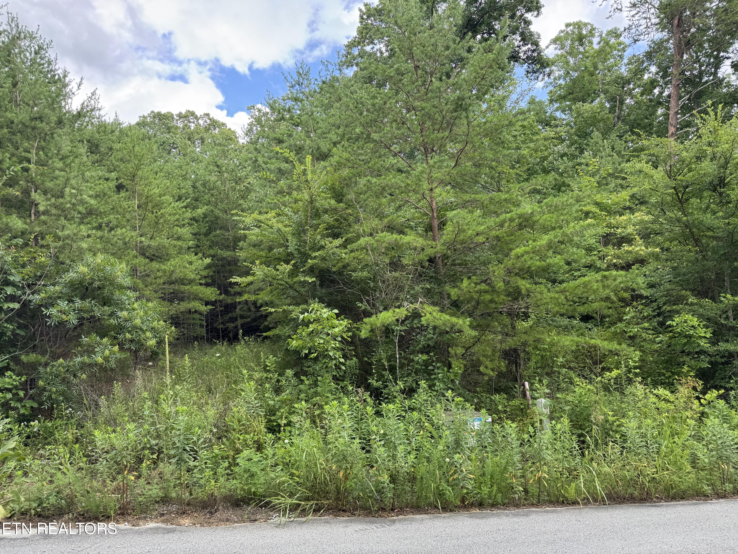 49 Bayside Boulevard Bean Station TN 37708