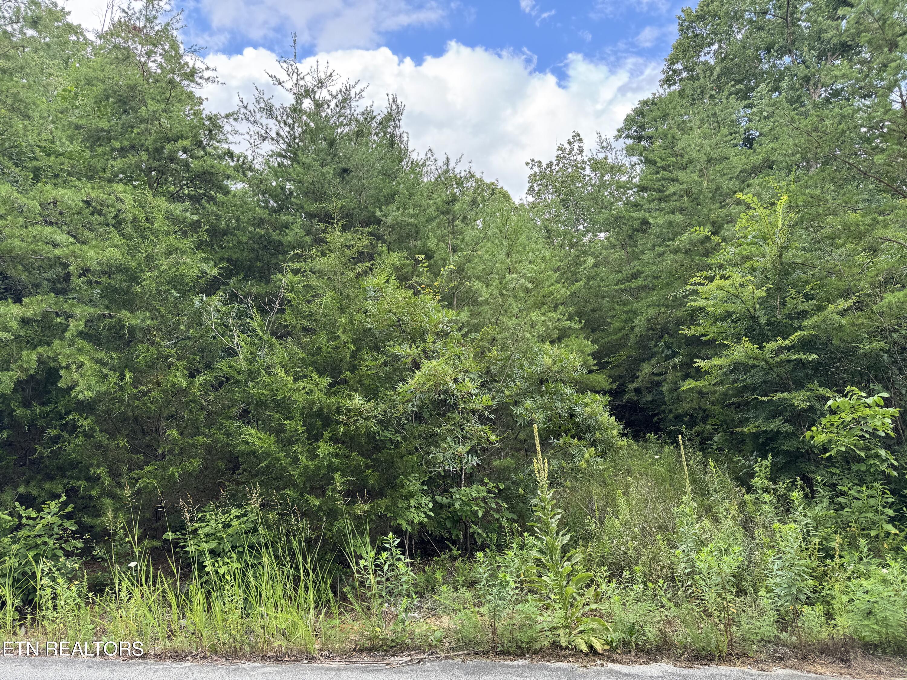49 Bayside Boulevard Bean Station TN 37708