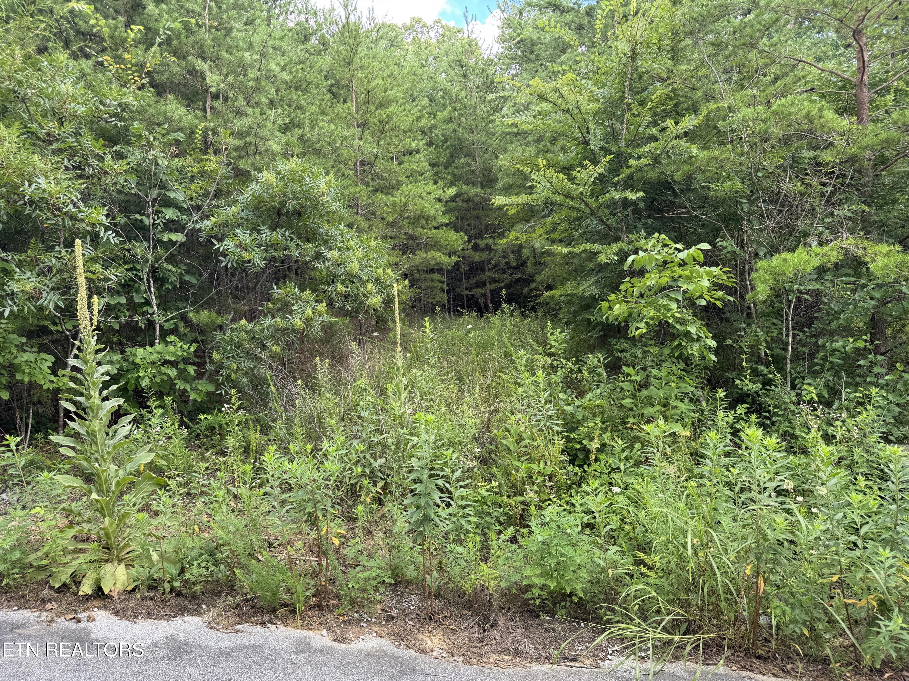49 Bayside Boulevard Bean Station TN 37708