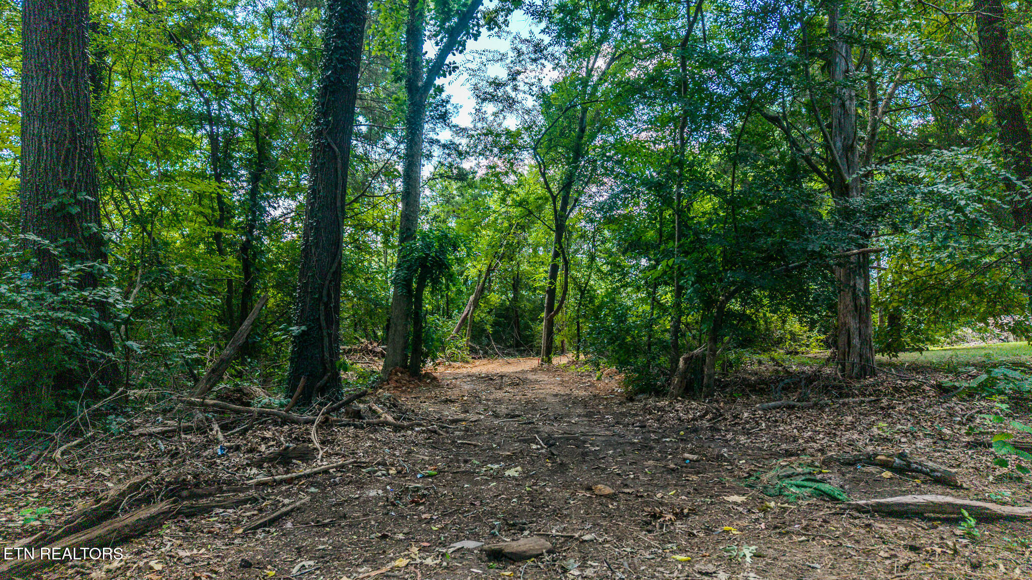 Dunraven Drive Knoxville TN 37922