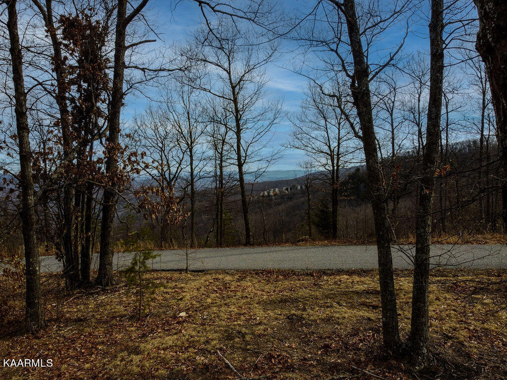 00 Chimney Rock Lane Lafollette TN 37766