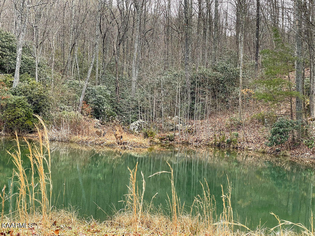 00 Chimney Rock Lane Lafollette TN 37766