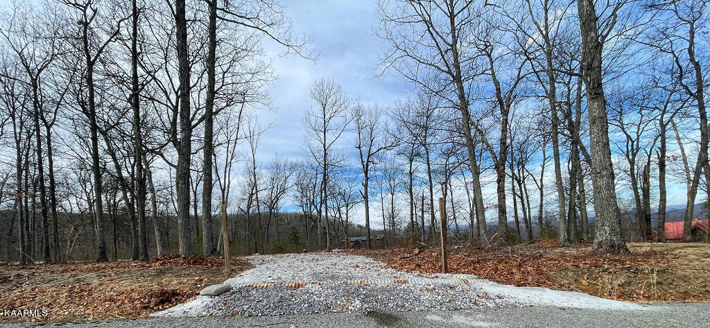 00 Chimney Rock Lane Lafollette TN 37766
