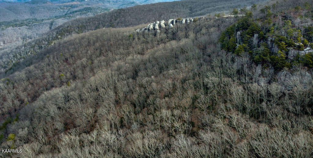 00 Chimney Rock Lane Lafollette TN 37766