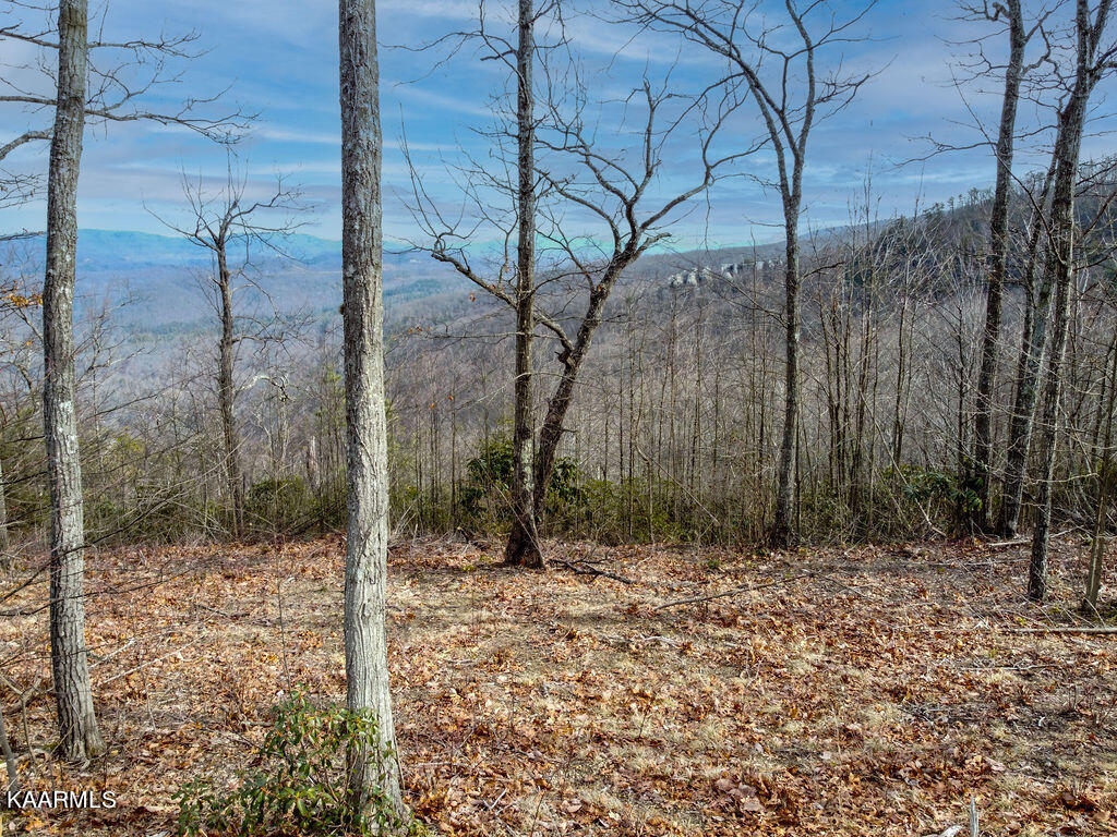 00 Chimney Rock Lane Lafollette TN 37766