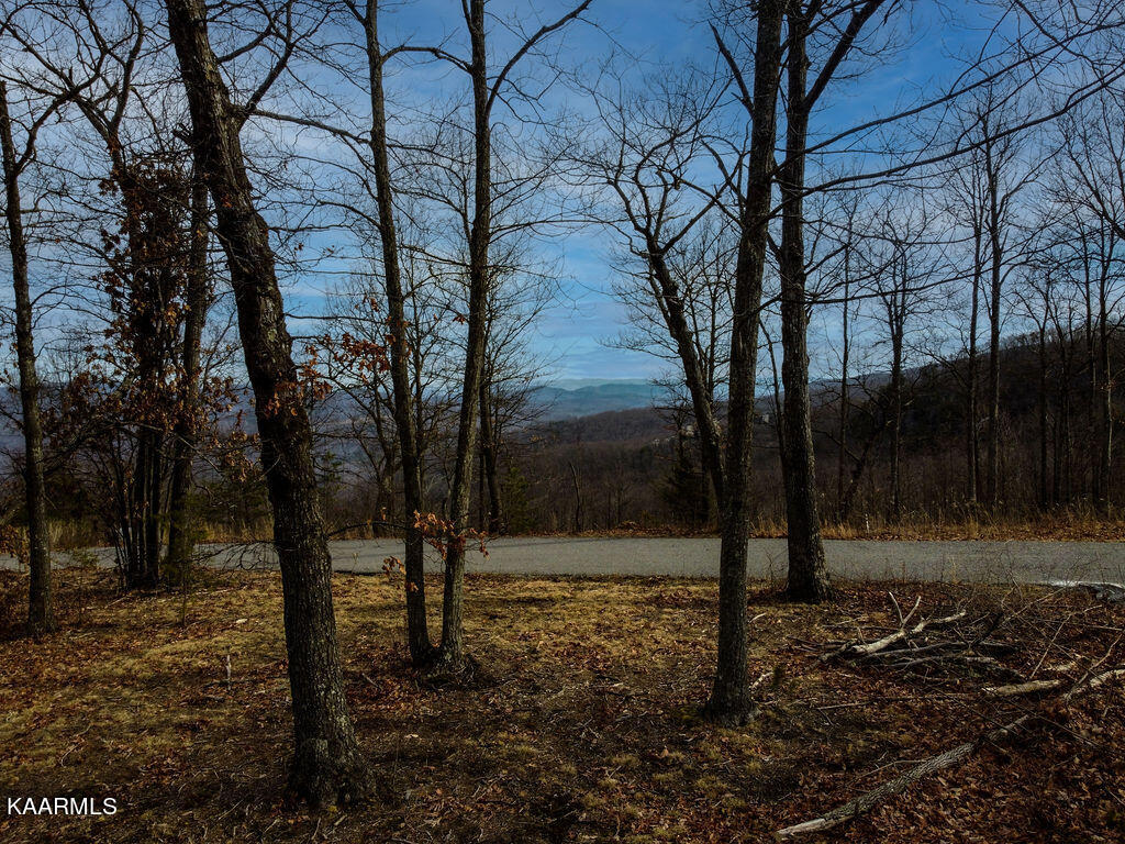 00 Chimney Rock Lane Lafollette TN 37766