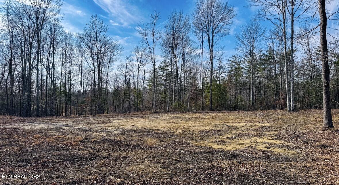 245 Old Beaty Pvt Road Winfield TN 37892