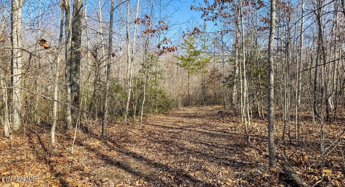 245 Old Beaty Pvt Road Winfield TN 37892