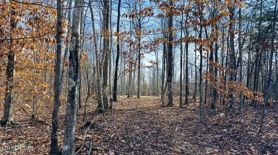 245 Old Beaty Pvt Road Winfield TN 37892