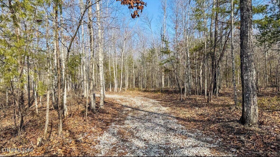 245 Old Beaty Pvt Road Winfield TN 37892