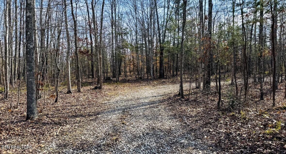 245 Old Beaty Pvt Road Winfield TN 37892