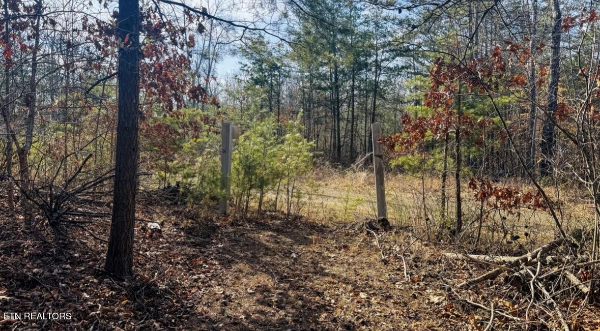 245 Old Beaty Pvt Road Winfield TN 37892