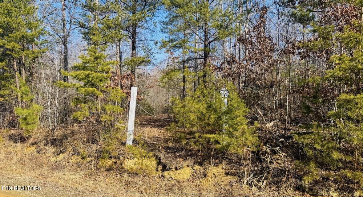 245 Old Beaty Pvt Road Winfield TN 37892