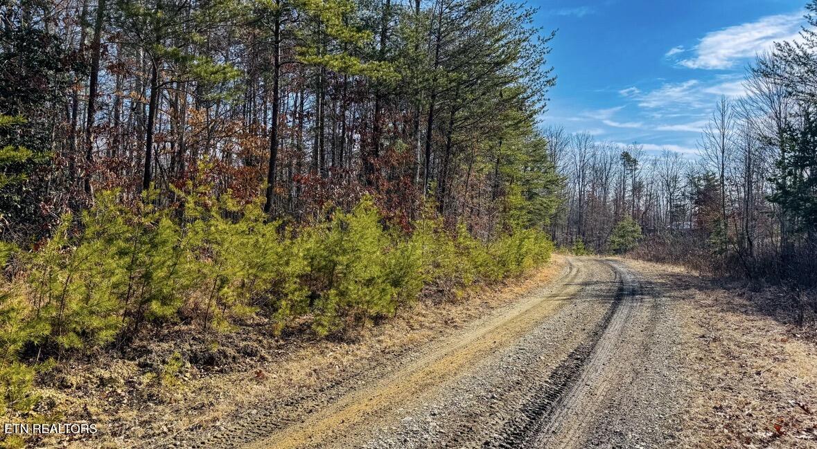 245 Old Beaty Pvt Road Winfield TN 37892