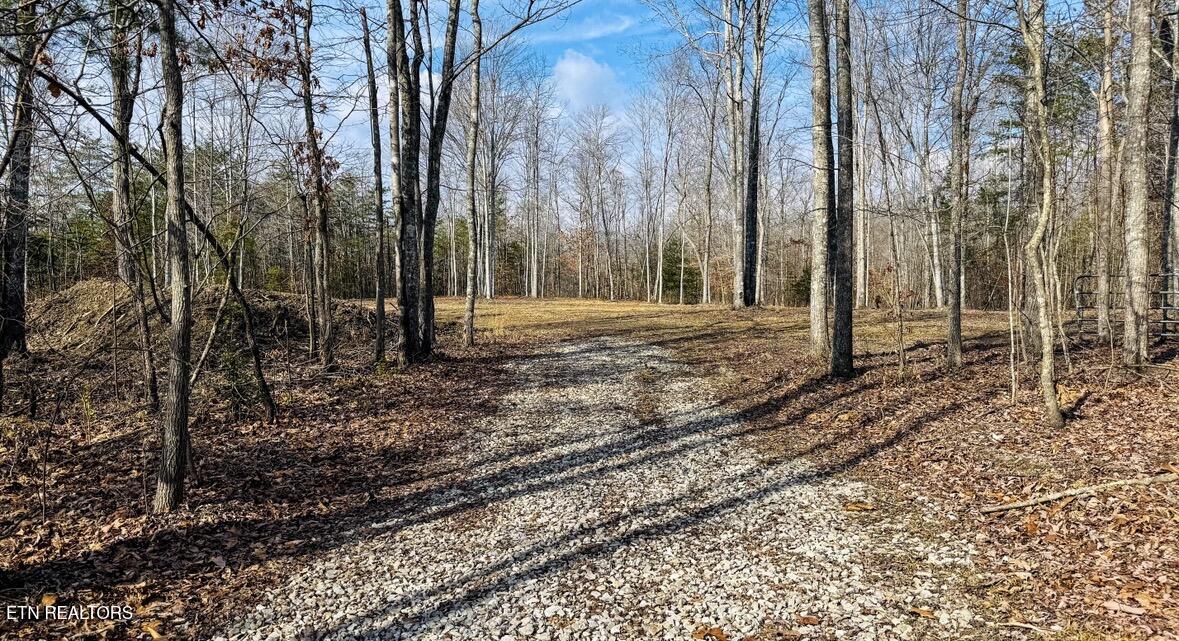 245 Old Beaty Pvt Road Winfield TN 37892