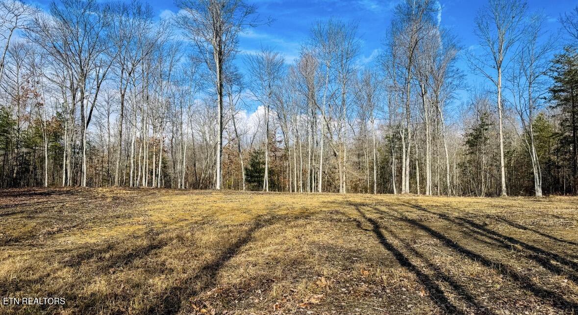 245 Old Beaty Pvt Road Winfield TN 37892