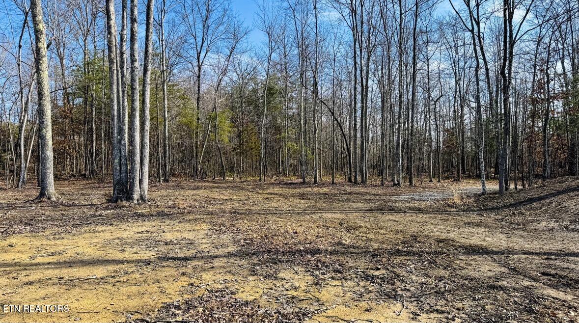 245 Old Beaty Pvt Road Winfield TN 37892