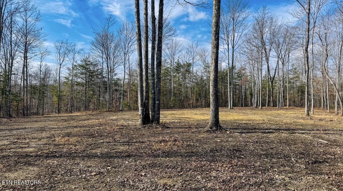 245 Old Beaty Pvt Road Winfield TN 37892