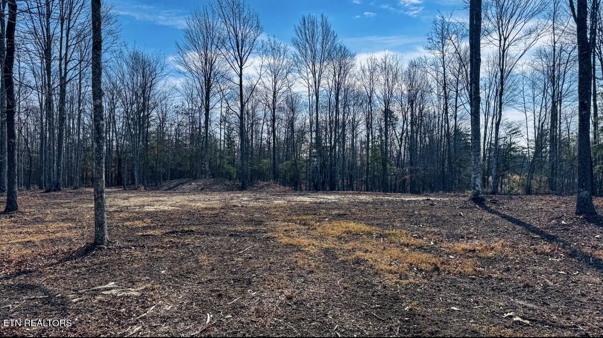 245 Old Beaty Pvt Road Winfield TN 37892
