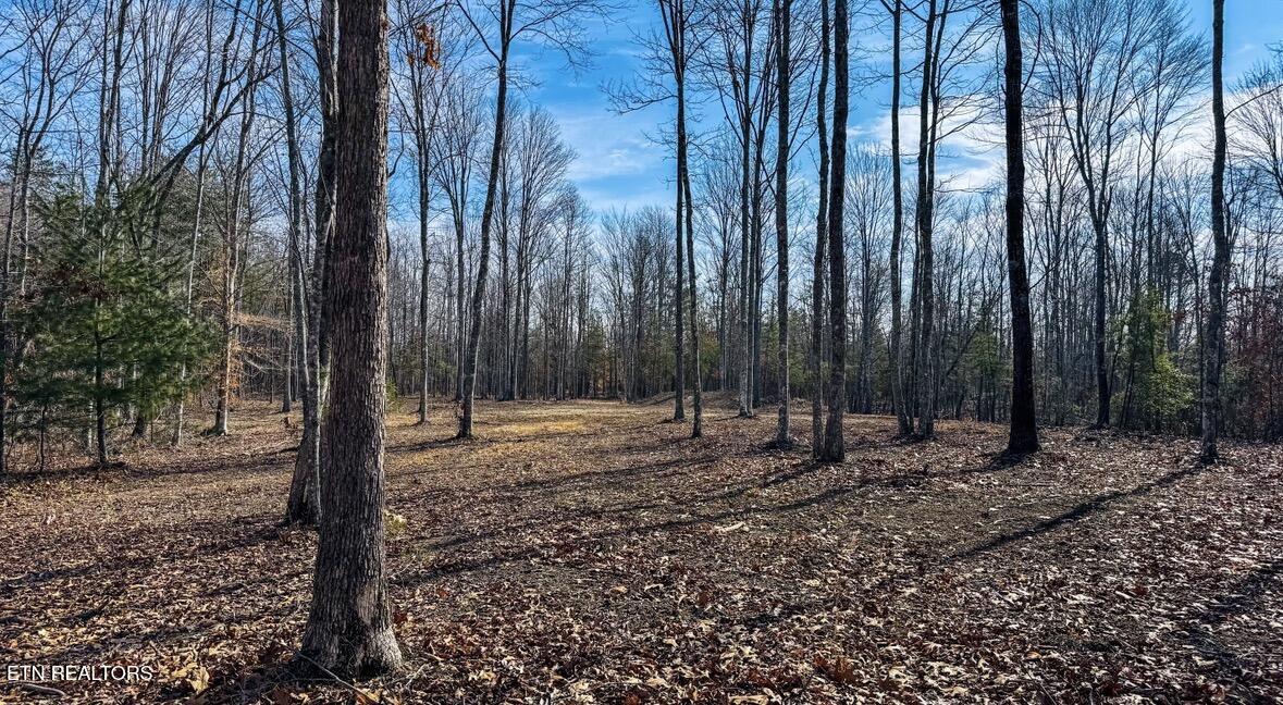 245 Old Beaty Pvt Road Winfield TN 37892
