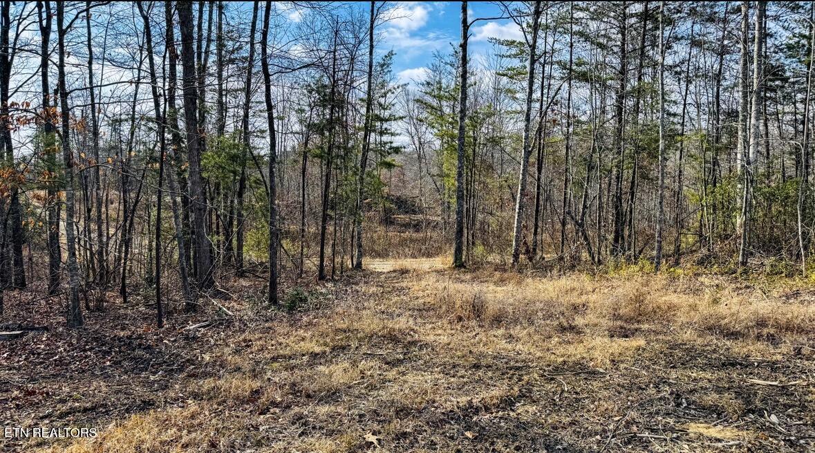 245 Old Beaty Pvt Road Winfield TN 37892