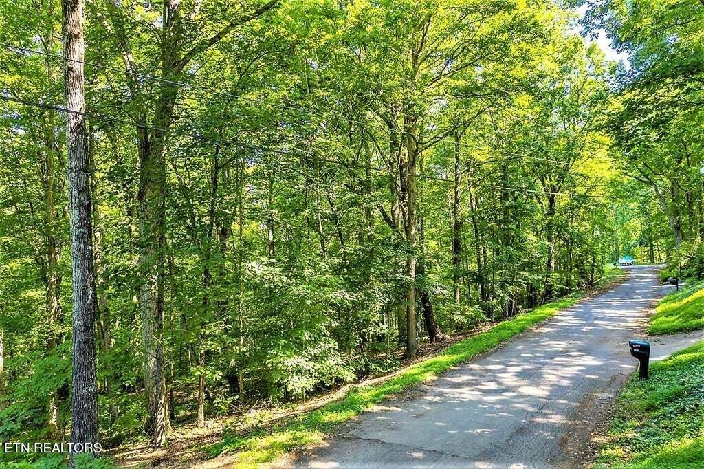 Eagle Ridge Lane Jefferson City TN 37760