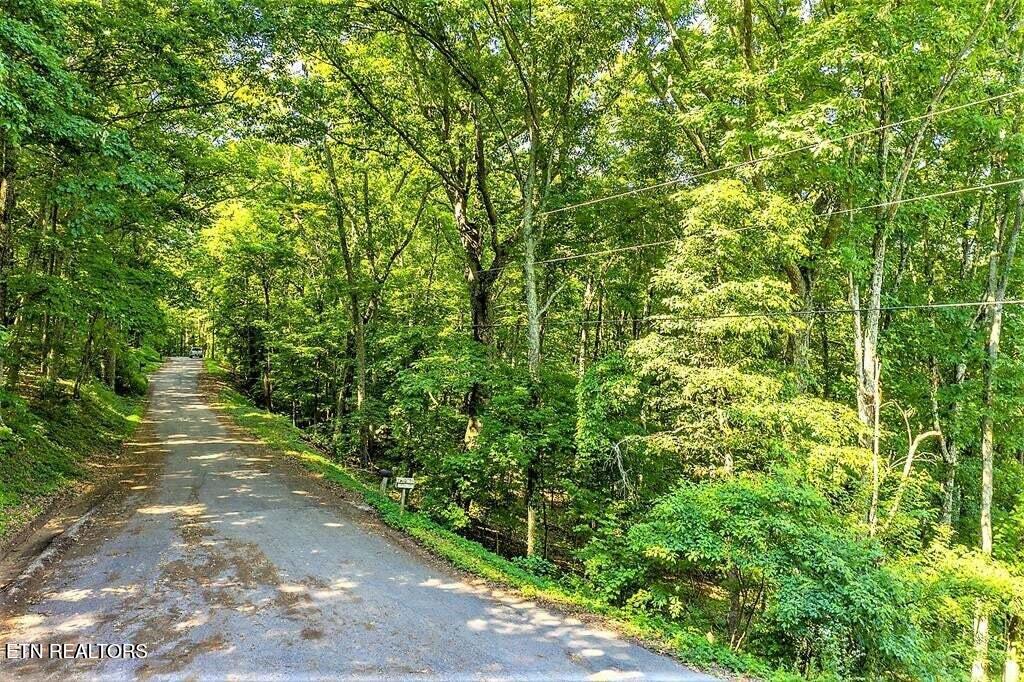 Eagle Ridge Lane Jefferson City TN 37760