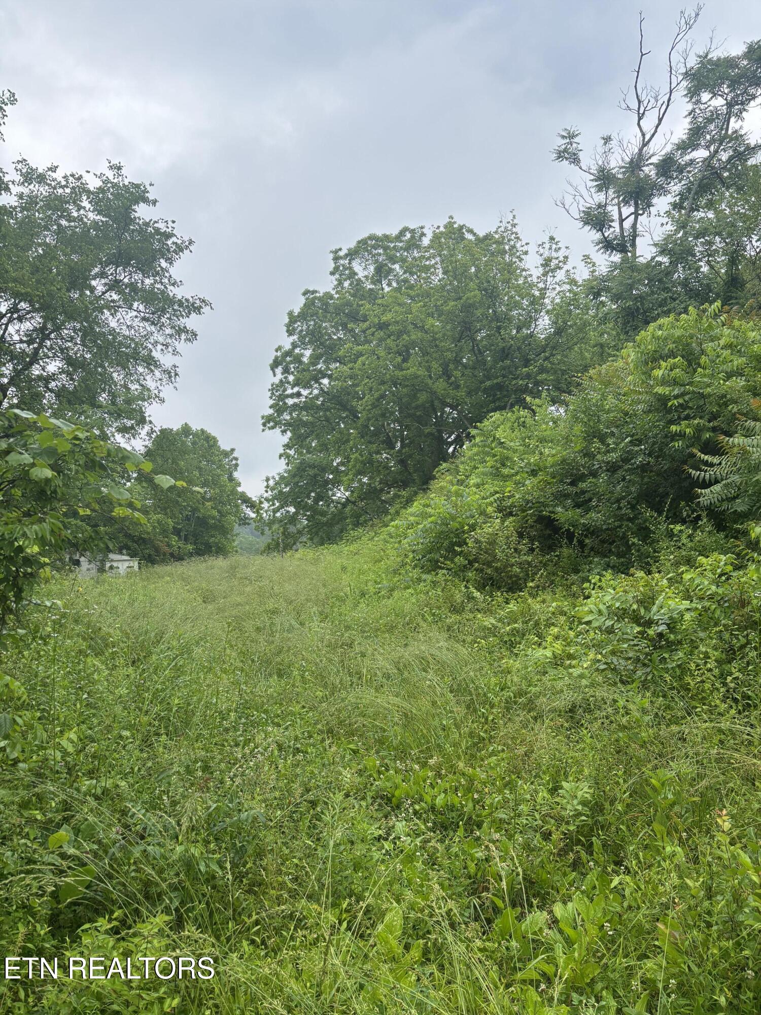 Morrell Springs Road Newport TN 37821