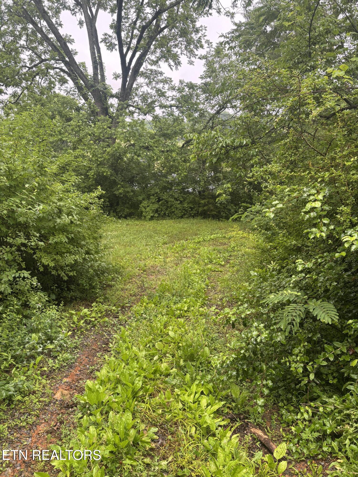 Morrell Springs Road Newport TN 37821