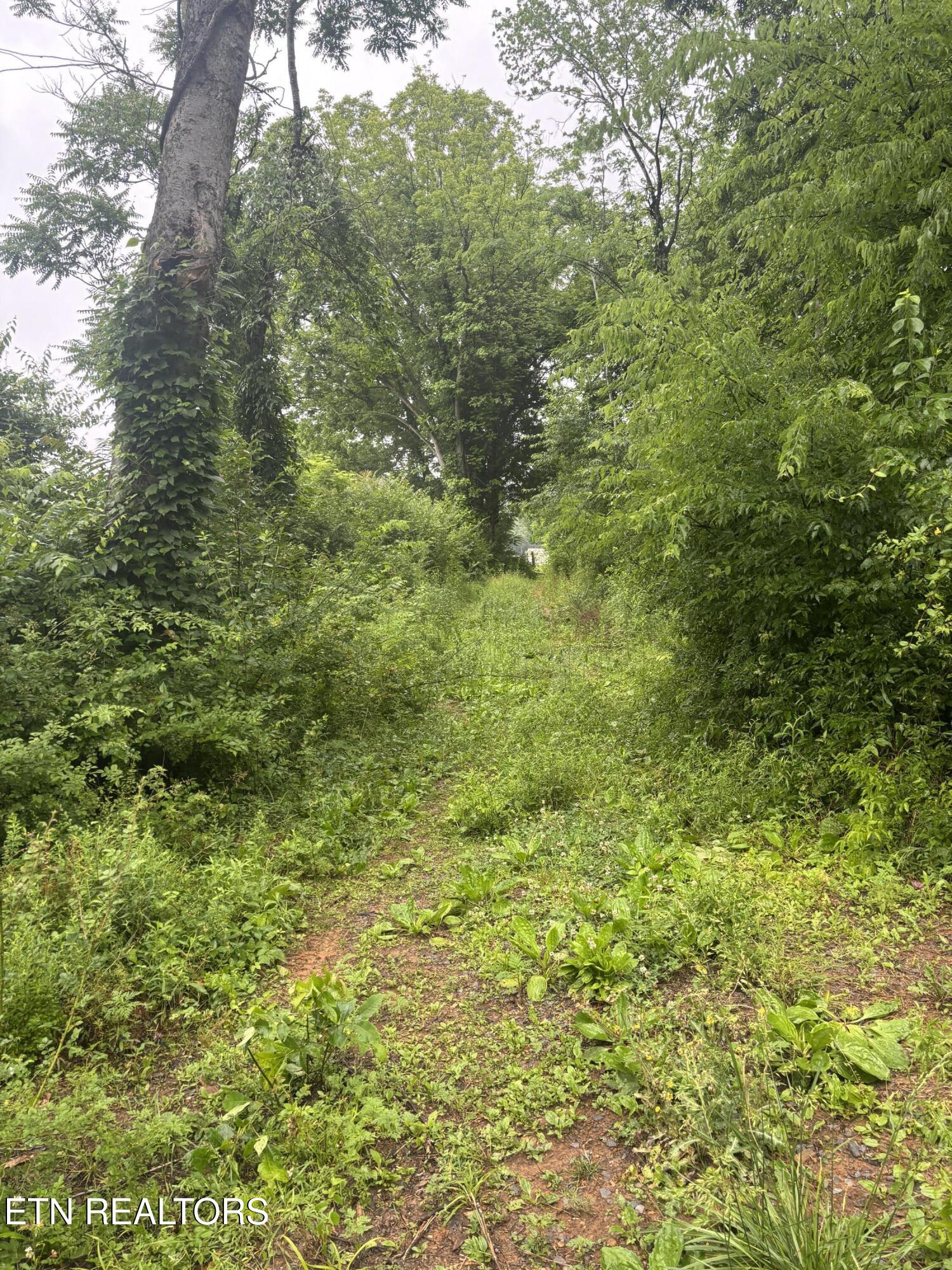 Morrell Springs Road Newport TN 37821