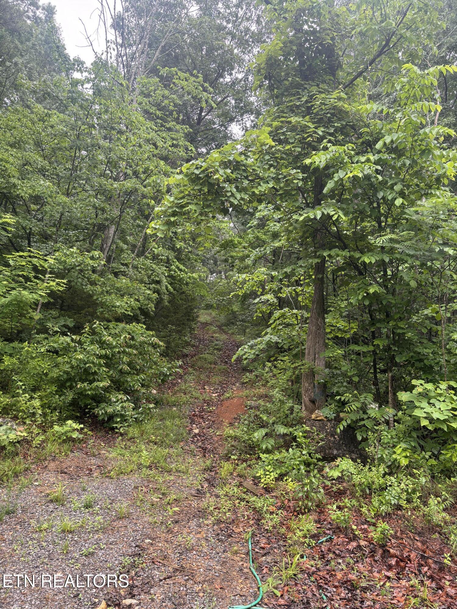 Morrell Springs Road Newport TN 37821