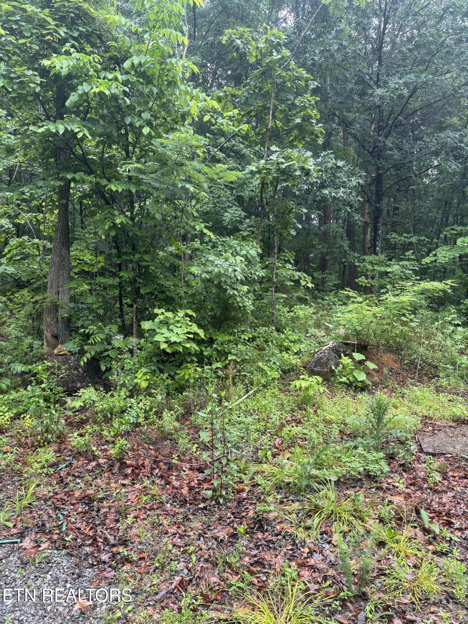 Morrell Springs Road Newport TN 37821