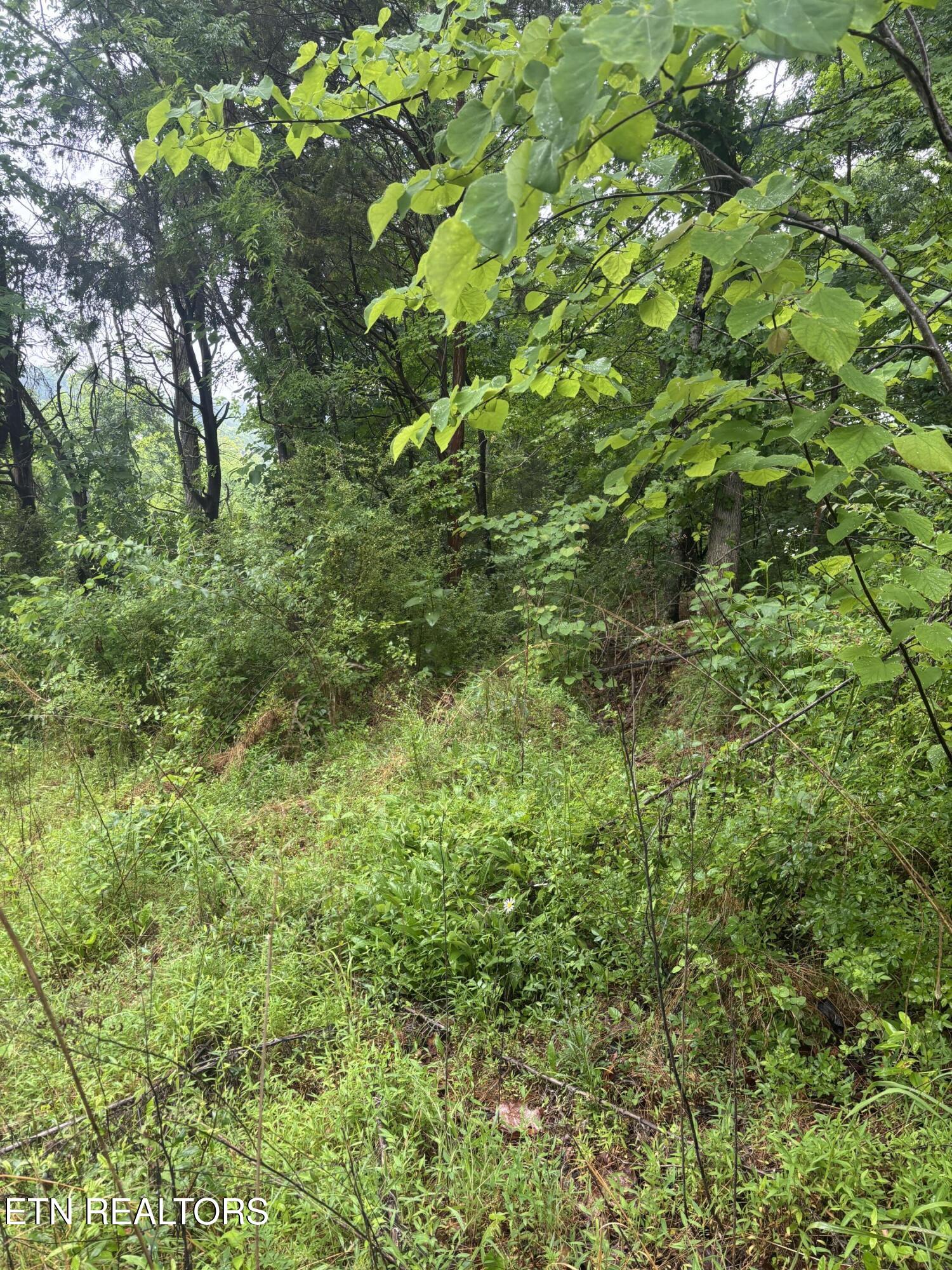 Morrell Springs Road Newport TN 37821