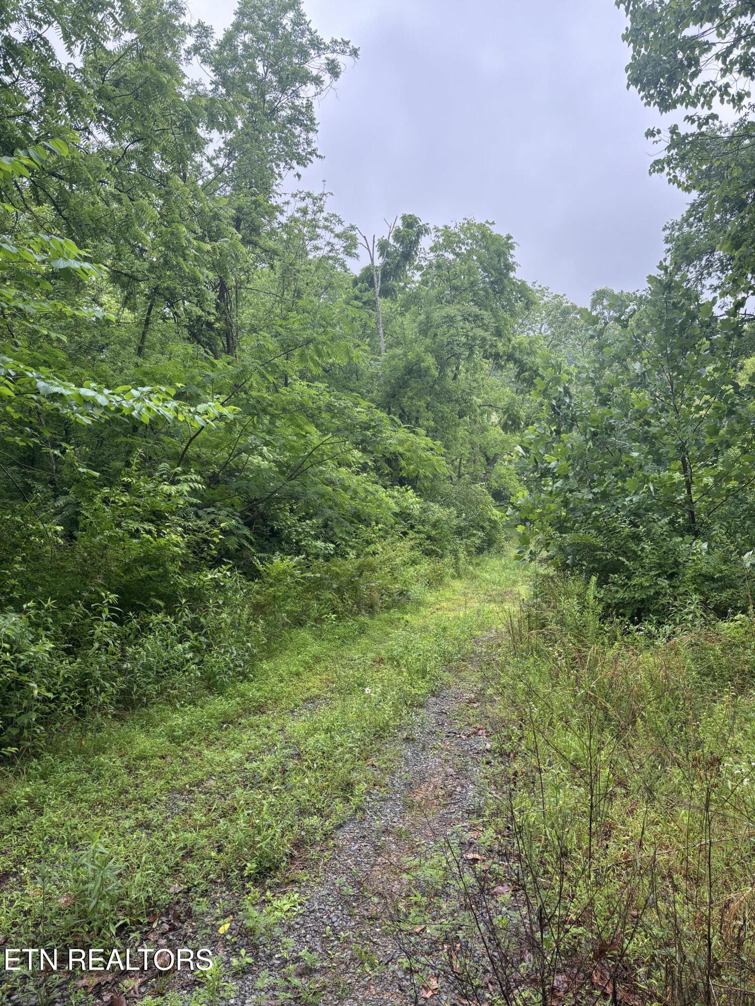 Morrell Springs Road Newport TN 37821