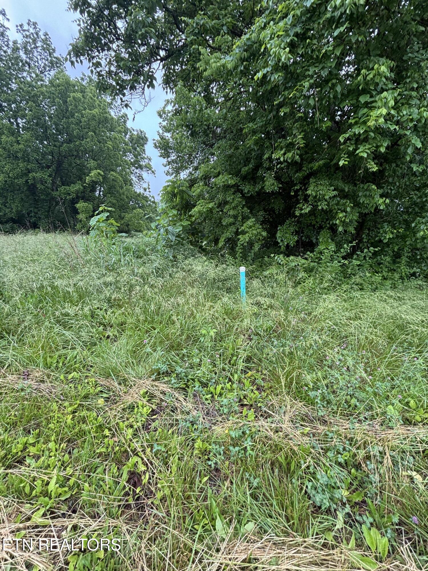 Morrell Springs Road Newport TN 37821